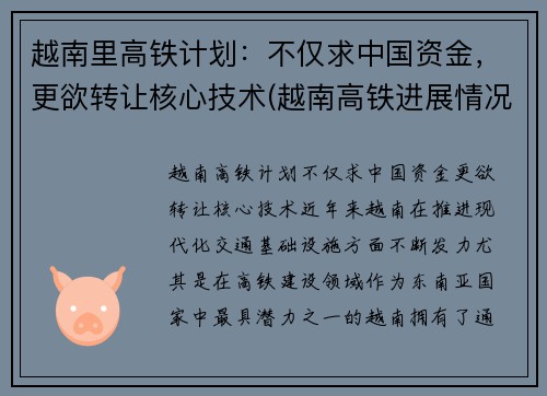 越南里高铁计划：不仅求中国资金，更欲转让核心技术(越南高铁进展情况)