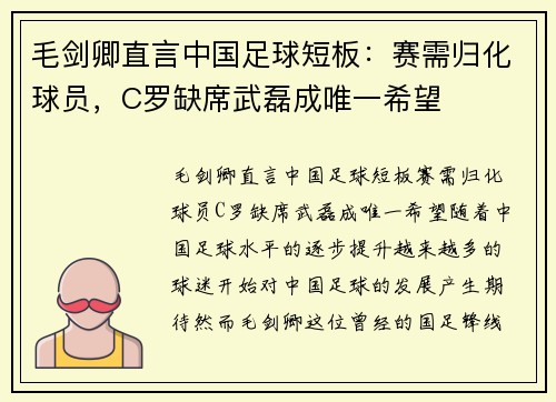 毛剑卿直言中国足球短板：赛需归化球员，C罗缺席武磊成唯一希望